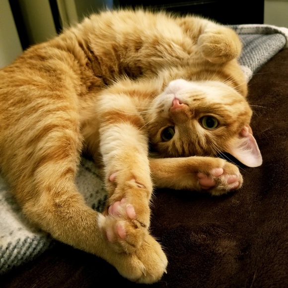 Cass Says "Welcome!!" - Picture 5 of 5